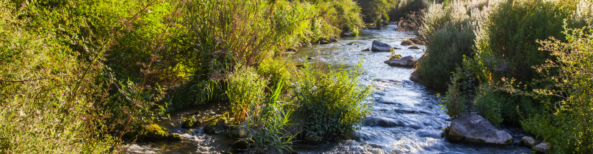 Imagen Home Alto Palancia